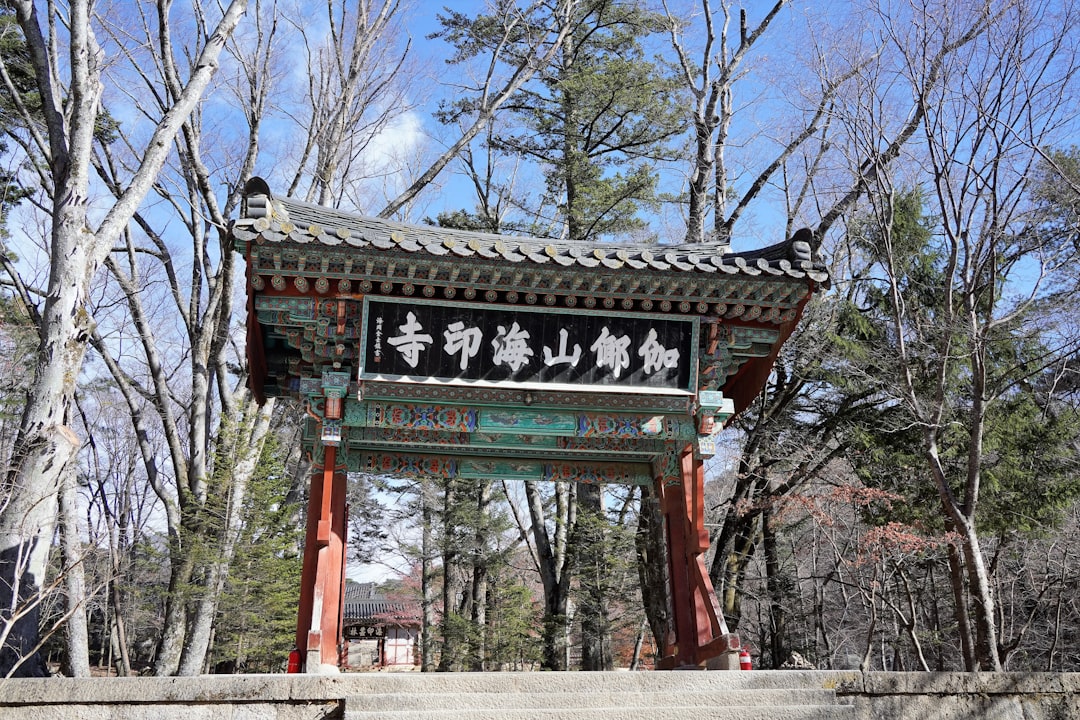 Temple Stay