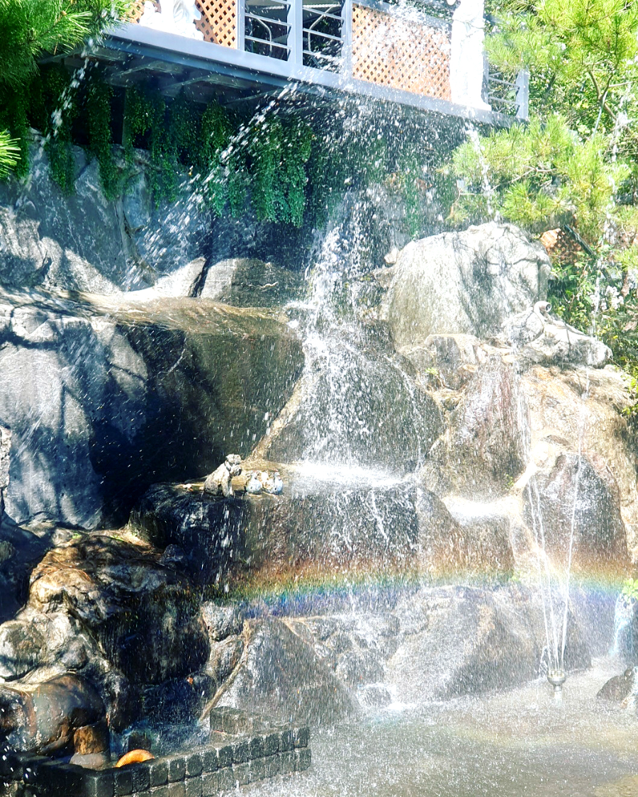 가평 타샤의정원251