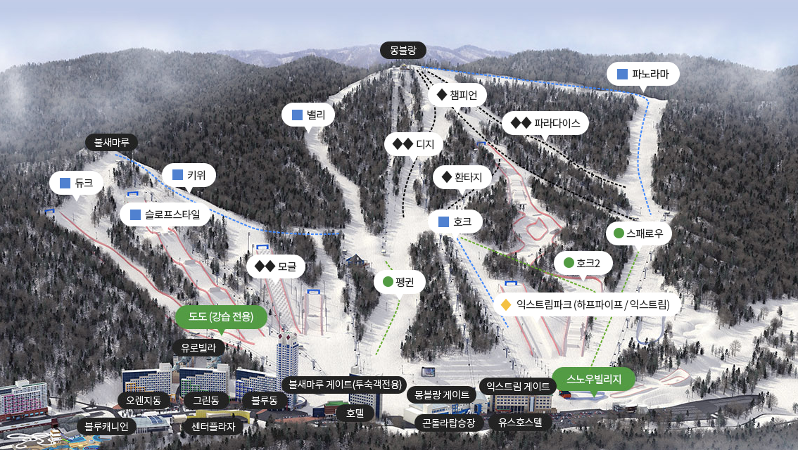 평창 휘닉스 스노우파크 스키장