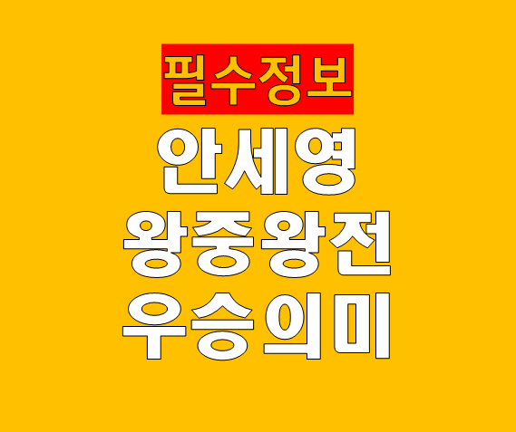 안세영 왕중왕전 우승 시 기록적 의미 역대급 시즌 완성의 기준점