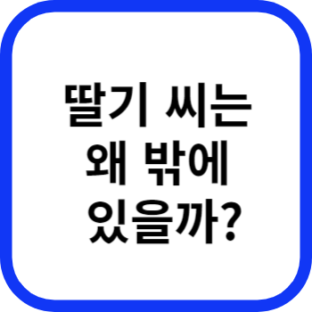 딸기 씨는 왜 밖에 있을까?