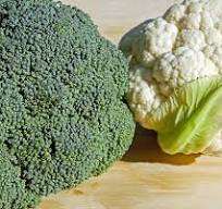 브로콜리 씻는 방법