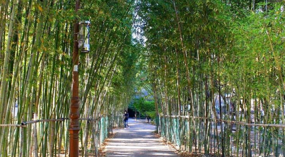 대구-월곡-역사공원