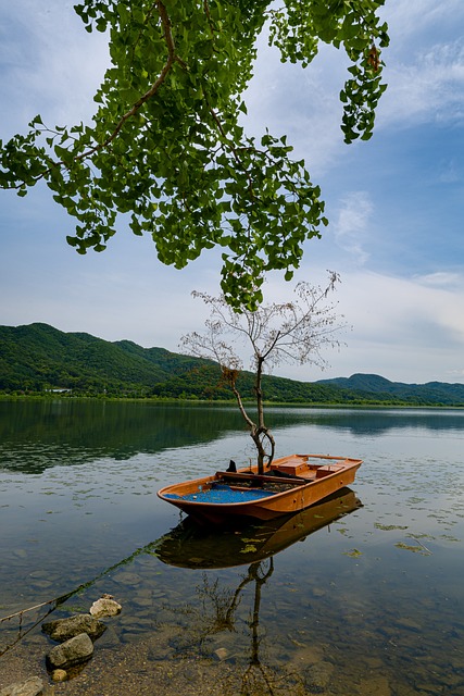 양평 두물머리 핫도그 런닝맨