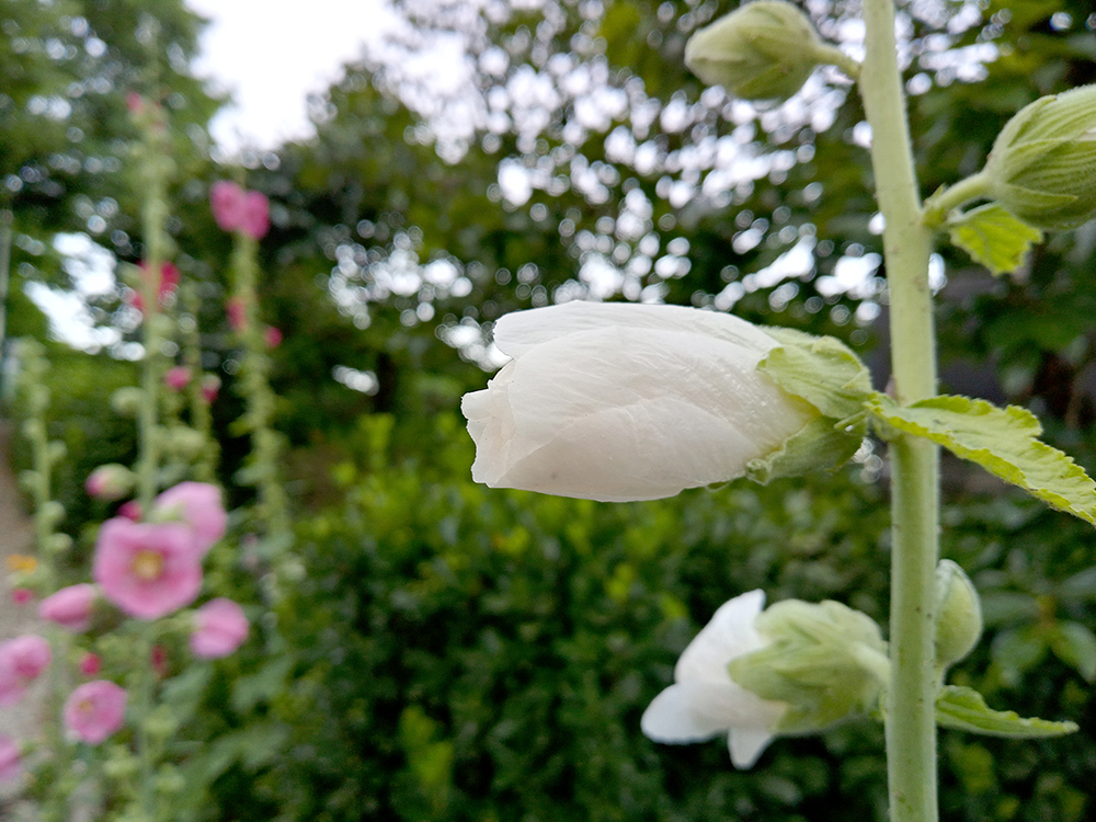 1004 프로젝트 여수봉산초등학교