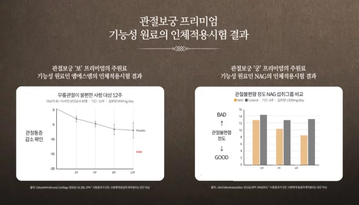 박지현 관절보궁