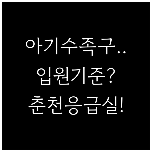 아기 수족구 입원 기준과 춘천 지역 ..