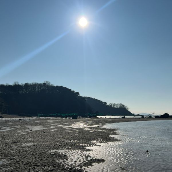 민머루해수욕장