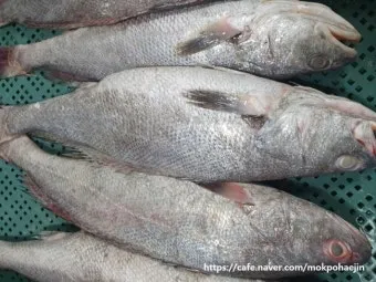 6월 제철 횟감 맛집 어디서 먹는 게 가장 맛있을까요 지역별 상세 추천_9