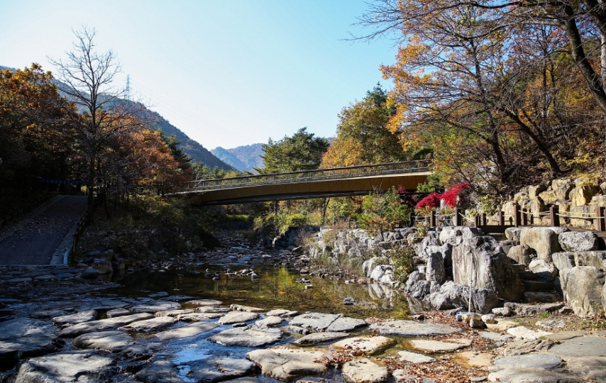강릉솔향수목원