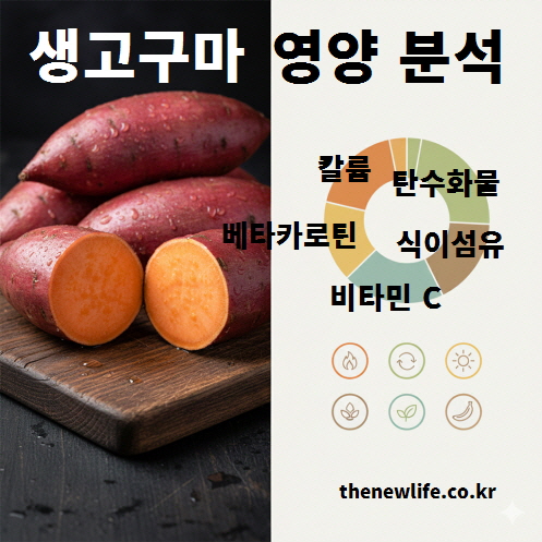 생고구마 영양 성분 구성과 비타민·식이섬유 분석 이미지