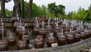 샤스타데이지 카페명소 BEST 5곳