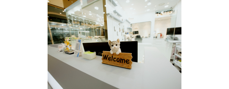 홍성군 동물병원