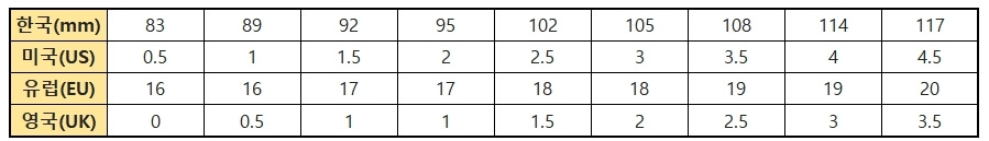 미국 신발 사이즈