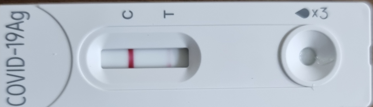 자가검진키트 양성
