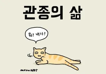 관종 뜻과 상황별 해석 모음집_17