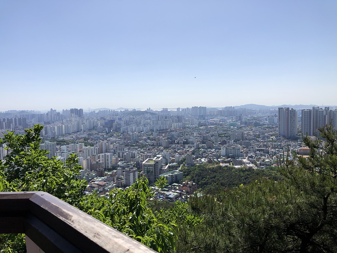 만월정 풍경