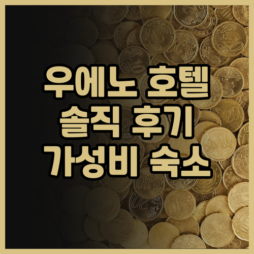 도쿄 우에노 호텔 추천 노가 호텔, ..