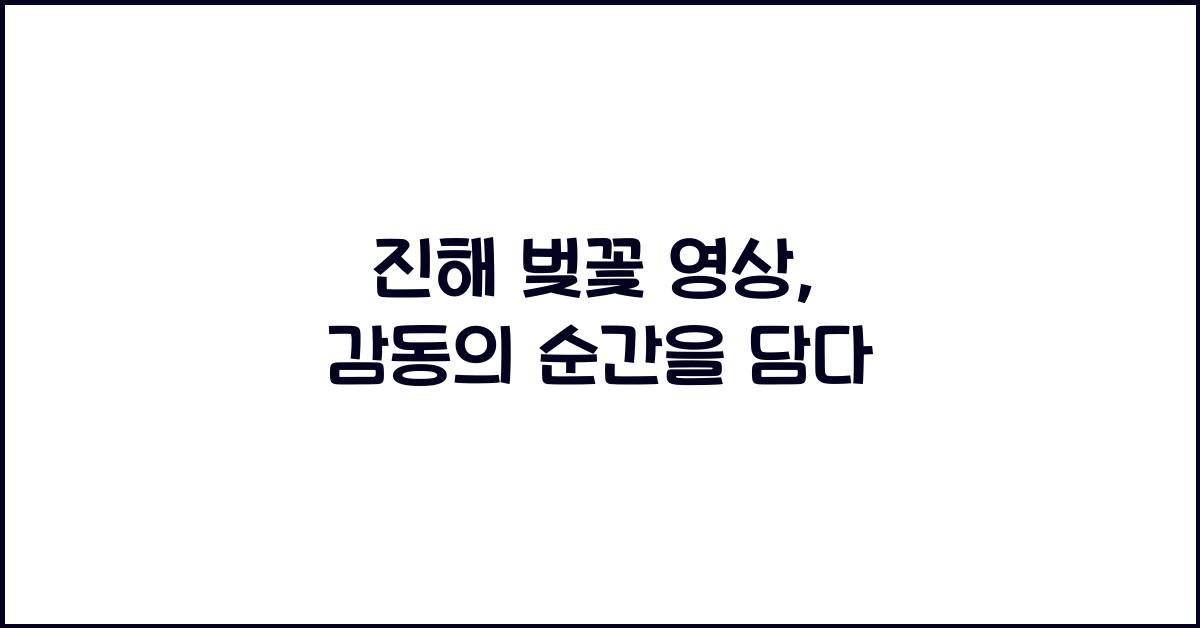 진해 벚꽃 영상