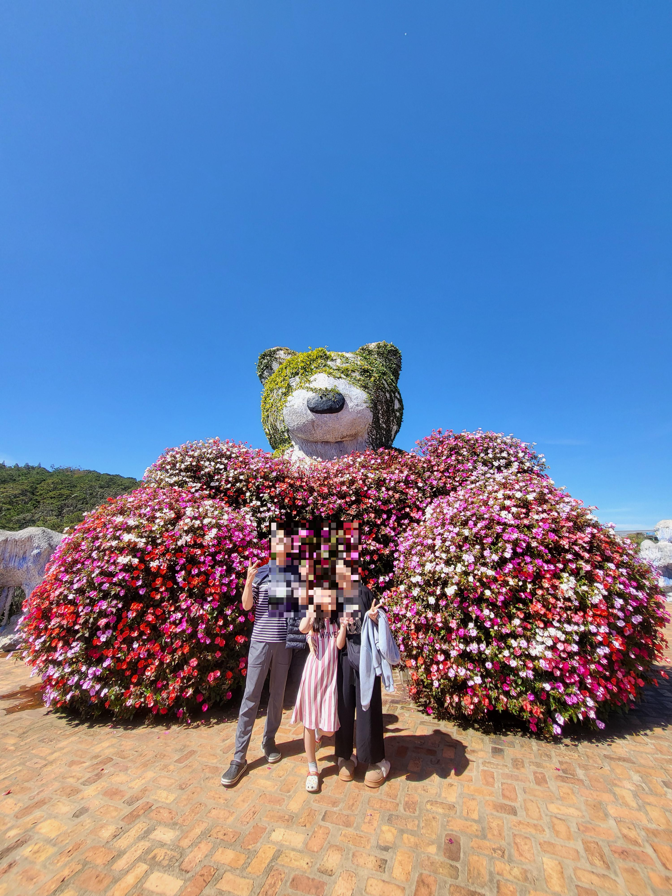 [달랏 여행] 꽃의 도시를 만나다! &amp;#39;플라워 가든&amp;#39; 붉은 베고니아 꽃밭 &amp; 미니 동물원(초3 아이 동반)