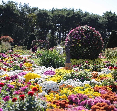 벽초지 수목원 가을꽃 국화축제에는 동양과 서양의 모습을 모두 볼 수 있는 수목원입니다