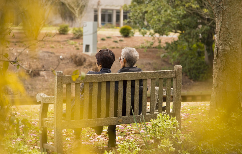 65세이상 노인 혜택