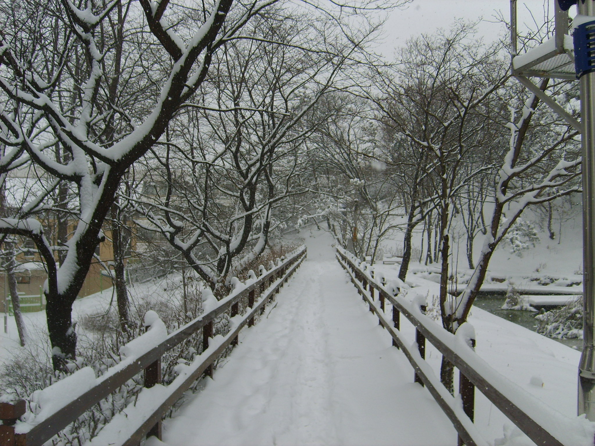 서대문구 안산(Ansan Mountain)