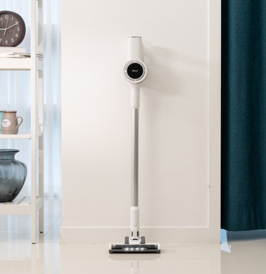 디베아 차이슨 이미지2