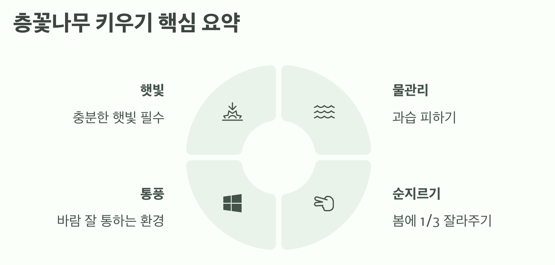 가을 정원의 보석, 층꽃나무 키우기 A to Z