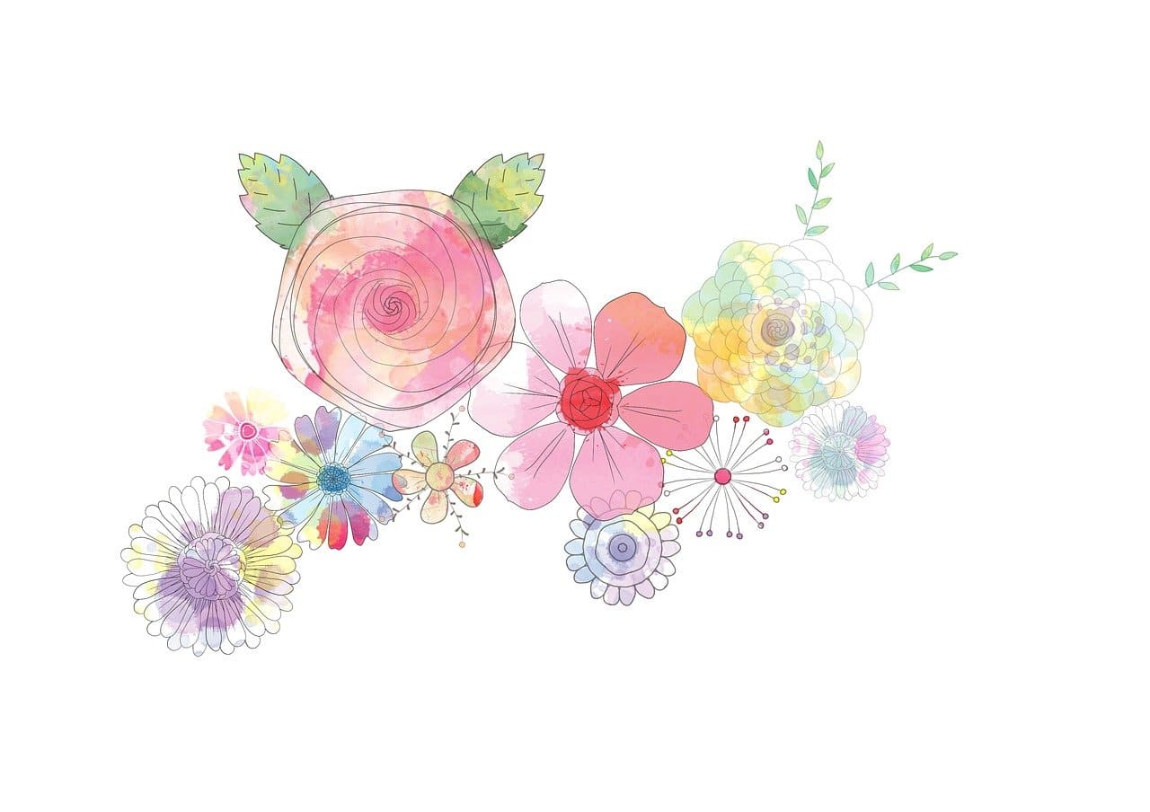 6월 축제 일정