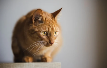 과천 무순위 줍줍 총정리 13