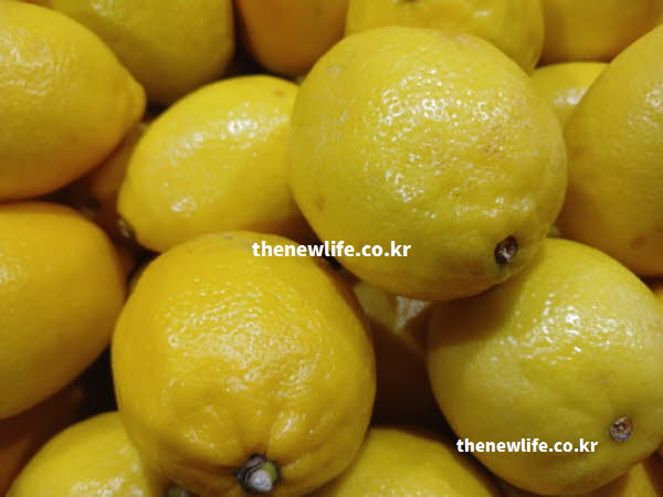 레몬즙 효능의 면역력 강화에 도움이 되는 비타민C가 풍부한 레몬 실사진
