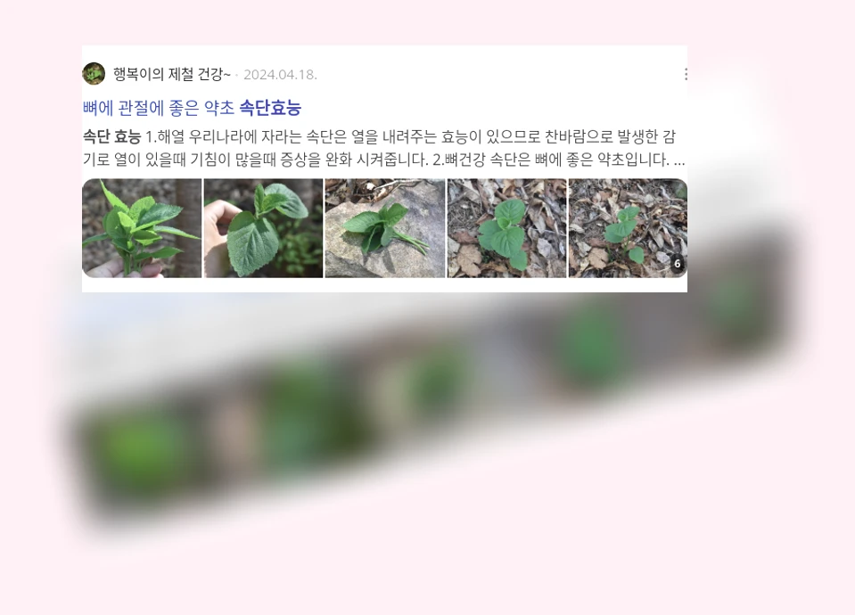 속단 효능_3_subsection