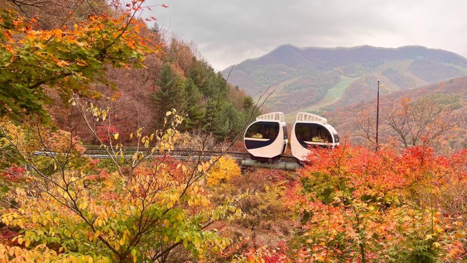 화담숲 예매하기