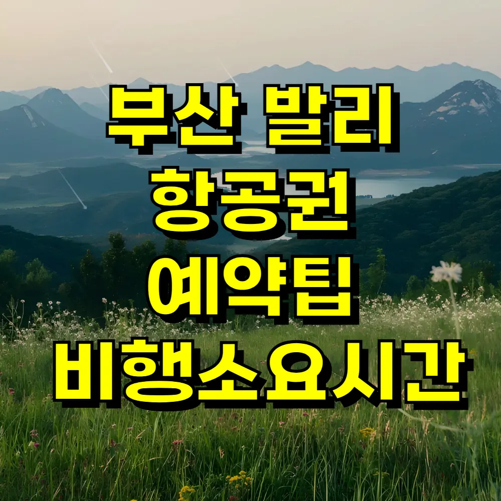 부산 발리 항공권 예약팁 비행소요시간