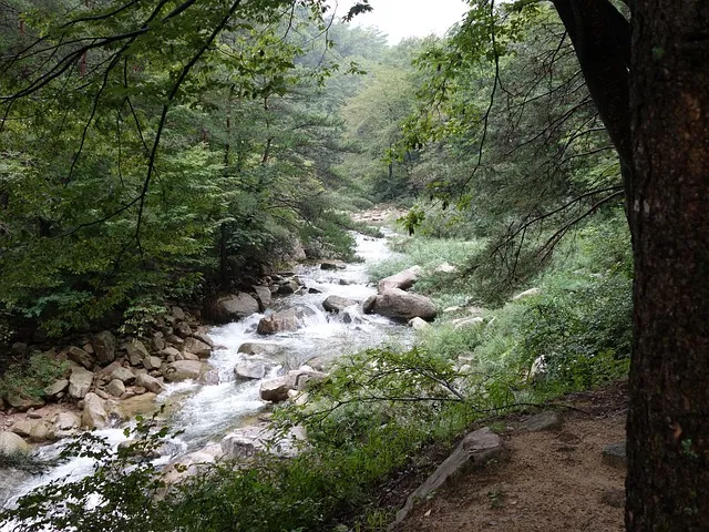 문경 가볼만한곳 베스트10 당일치기 여행코스 추천 가이드_6