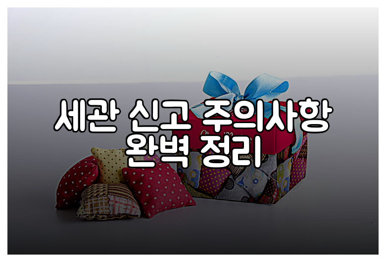 세관 신고 주의사항 완벽 정리