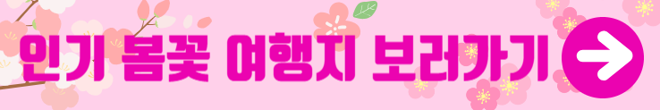 인기 봄꽃 여행지 보러가기