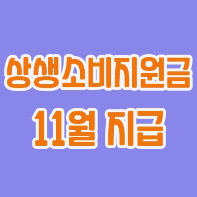 상생소비지원금-11월