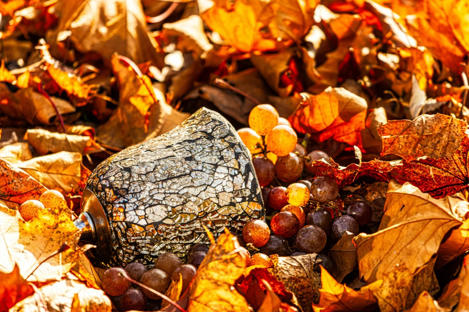 처서, 처서뜻, 처서절기, 처서음식, 처서건강식, 절기음식, 24절기, 처서밥상, 제철음식, 가을건강식, 여름끝자락음식,계절밥상