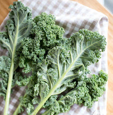 식도에 좋은 음식 10 가지