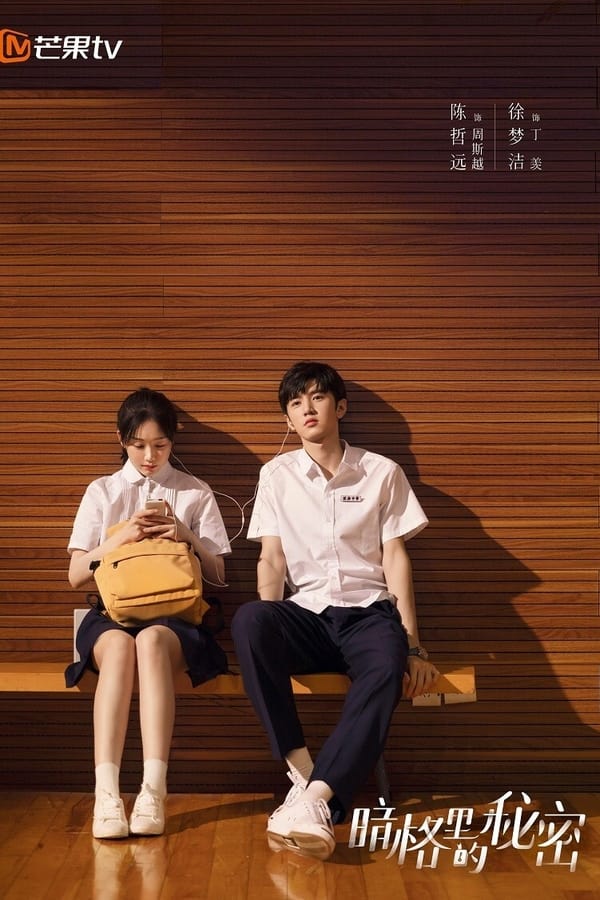 넷플릭스에서 볼만한 중드 추천 암격리적비밀 서랍 속 비밀