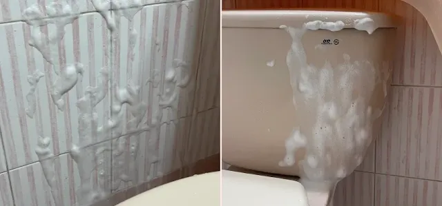 홈스타 맥스프레쉬를 분무한 후의 모습