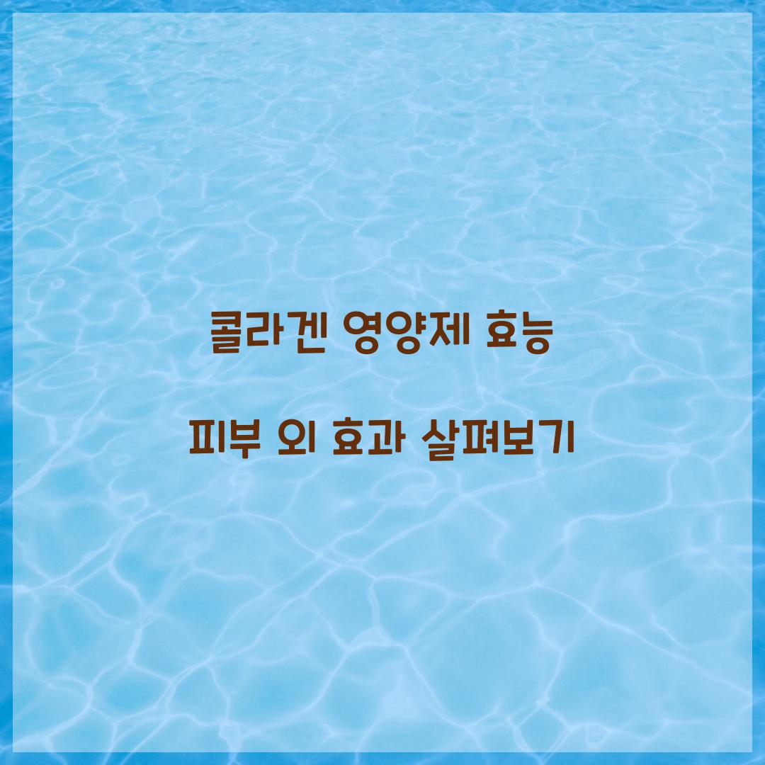 콜라겐 영양제 효능