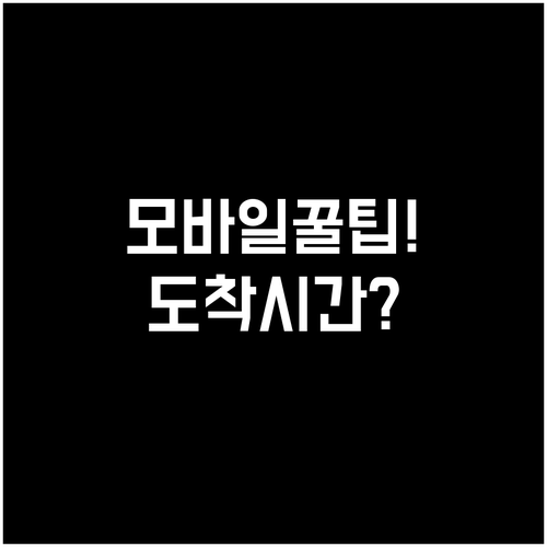 천진항공 모바일 탑승권 사용법과 공항..