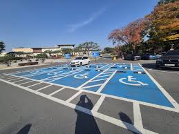 장애인 자동차 변경 등록시 기본 조건과 대상자