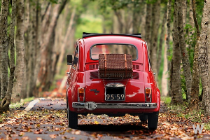 자동차 극장 안내 3