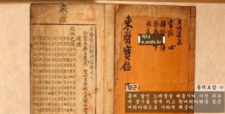 당근 효능 10가지와 섭취법 부작용 총정리...음식건강이야기 열세번째