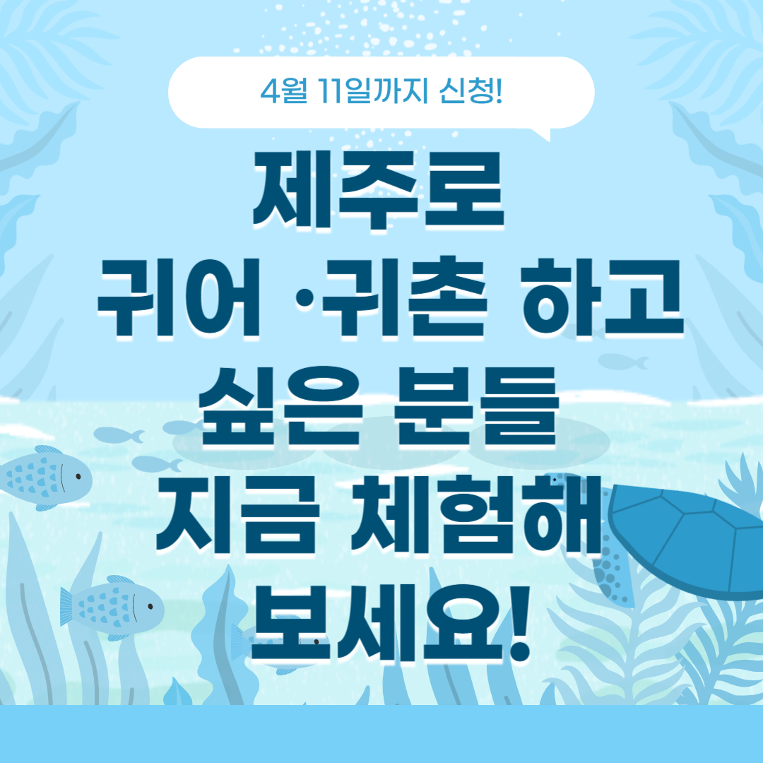 제주로 귀어 귀촌 하고 싶은 분들 지금 체험해 보세요 라고 써있는 이미지