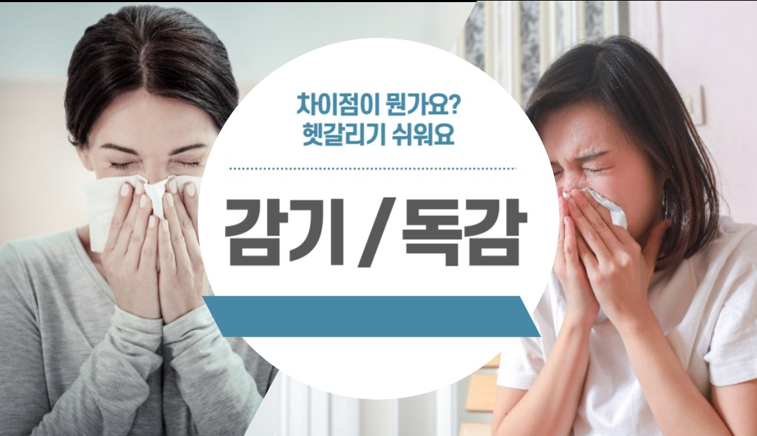 가을철 감기와 독감 차이점과 예방법